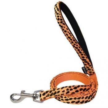 Correa para Perro Gloria 1.5 x 120 cm Naranja