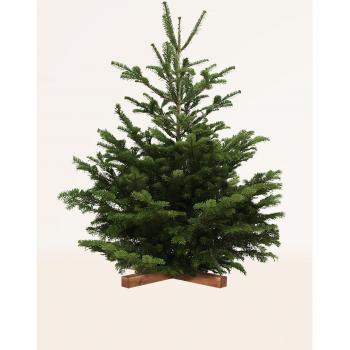 ?rbol de Navidad Nordmanniana - XL: Alt. 175-200 cm