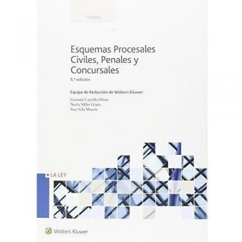 Esquemas procesales Civiles, Penales y Concursales