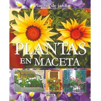 Plantas En Maceta