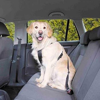 Arnes con cinturon de Seguridad para perros TRIXIE