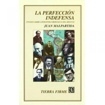 La perfección indefensa : ensayos sobre literatura en lengua española del siglo XX