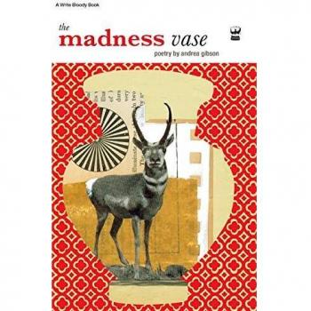 The Madness Vase: By Andrea Gibson