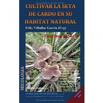 Cultivar la seta de cardo en su habitat natural