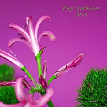 Pop ambient 2014 vinyl