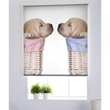 Estor Enrollable Translúcido Estampado de Animales - Fácil Instalación para Ventanas y Puertas - 110 x 180 cm - Modelo A-1063