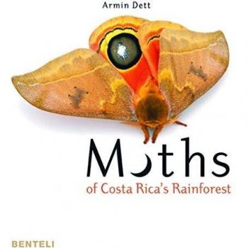 Costa Rica Rainforest Moths Guide by Armin Dett