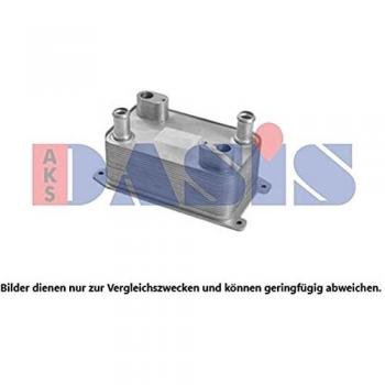 AKS Dasis 046049 N Motor bloques