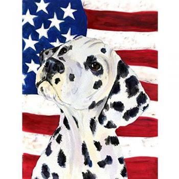 USA American Flag with Dalmatian Flag Canvas House Size