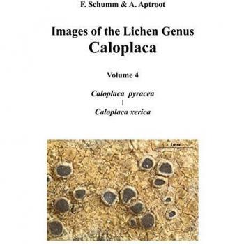 Imágenes del Género de Liquenes Caloplaca, Volumen 4: Caloplaca pyracea y Caloplaca xerica (Tapa dura)