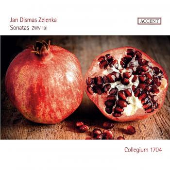 Zelenka: Sonatas ZWV 181 - Classical Music Album