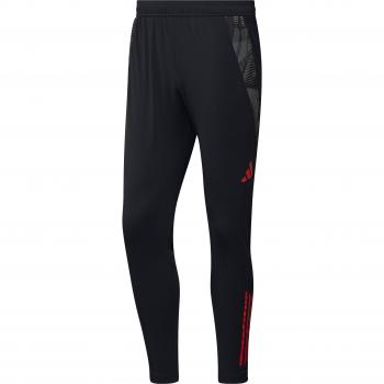 Colombia Copa America 2024 Training Pants