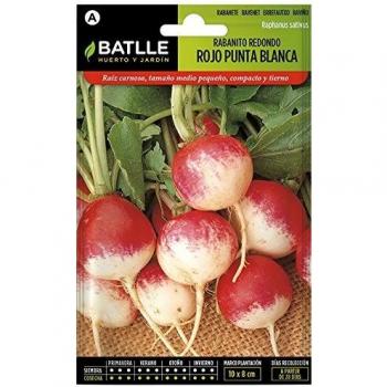 Semillas Hortícolas - Rabanito redondo rojo punta blanca - Batlle