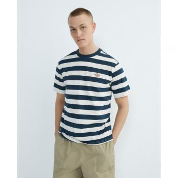 Dickies Men's Rivergrove Short Sleeve T-Shirt in Air Force Blue, Size Small