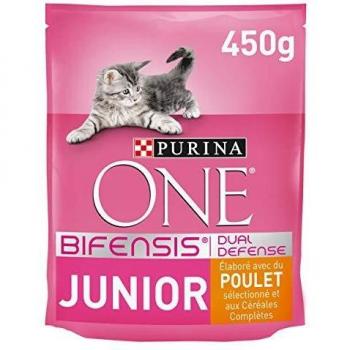 One - Alimento para Gato - Seco - Purina Junior Rico En Pollo Y Con Cereales Integrales 450 g