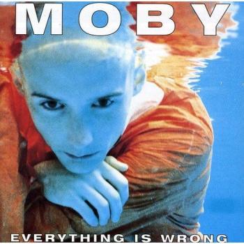 Everything Is Wrong