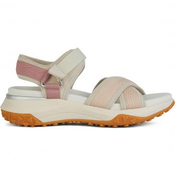 SANDALIAS GEOX SORAPIS CON CORREA D SORAPIS + GRIP A 37 MARRÓN