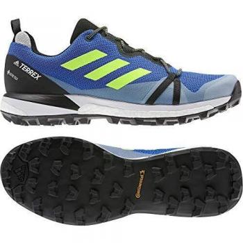 adidas Terrex Skychaser LT GTX, Zapatillas Deportivas para Hombre, Glory Blue/Signal Green/Dash Grey