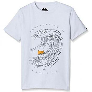 Quiksilver Radical Surfing - Camiseta para niño, Radical Surfing B Tees, blanco, FR: 14 años