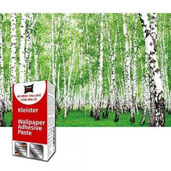 GREAT ART Papel tapiz fotográfico Decoración de Pared Bosque de Abedul - Paisaje Árboles 210 x 140 cm - Papel Pintado 5 Piezas incluye Pasta para pegar