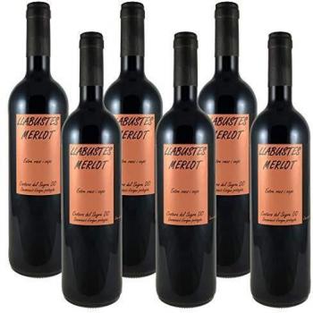 Vino Tinto Llabustes Merlot 2017 | Bodega Vila Corona | D.O. Costers del Segre | Merlot