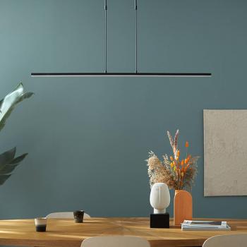 Lámpara colgante LED Zelena Steinhauer, negra, longitud 122cm, metal, CCT
