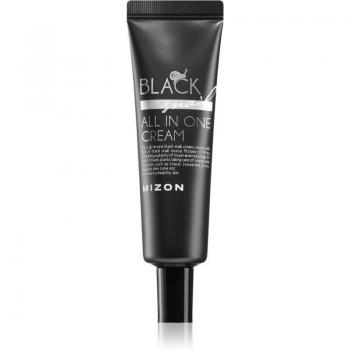 Mizon Black Snail All in One Face Cream with Snail Secretion Filtrate 90% 35 ml