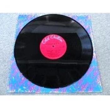 Have a Nice Day [Vinilo]