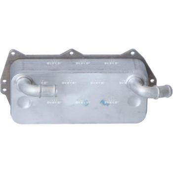 Enfriador de aceite NRF 31856, tipo: enfriador de aceite, características: diseñado para optimizar la temperatura del aceite del motor, fabricado con materiales de alta calidad para una durabilidad prolongada, compatible con diversas marcas y