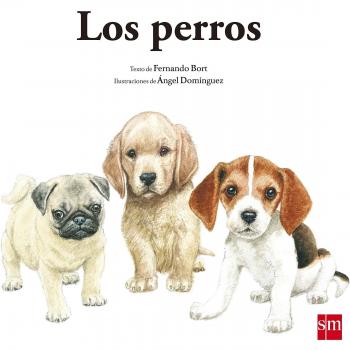 Los perros: 1 - Fernando Bort Misol