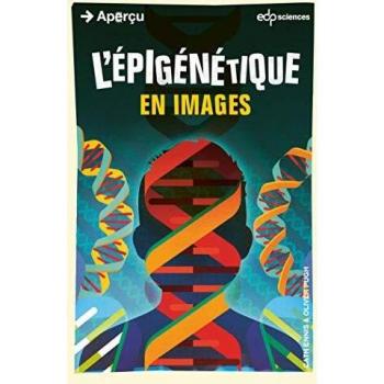 Epigenetics Illustrated: A Visual Guide to Epigenetic Concepts