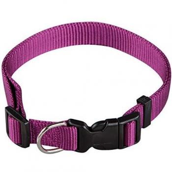 Arppe 2240011011 - Collar Nylon Basic, Morado, XS, 1 unidad