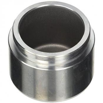 Émbolo para pinza de freno AUTOFREN SEINSA D025349