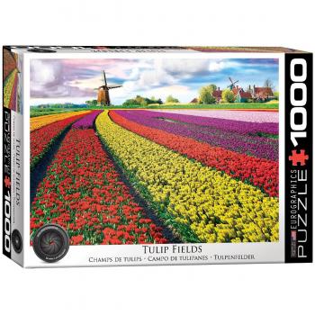 Eurographics 1000-Piece Puzzle - Tulip Fields of the Netherlands