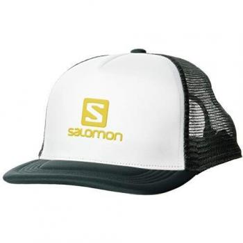 SALOMON Summer Logo Cap Gorra, Hombre, White/Green Gables, Talla Única