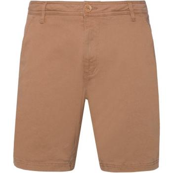 Bermuda de hombre Bastian Protest - Pantalones cortos chinos, diseño moderno, ajuste cómodo, material ligero y transpirable