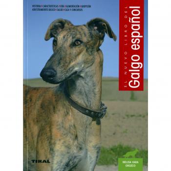 El galgo español