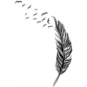 Creative chendongdong woooowltd dormitorio de plumas de aves de vinilo adhesivo Mural enarbolan burrda lámina de decoración pegatinas de pared, negro, negro