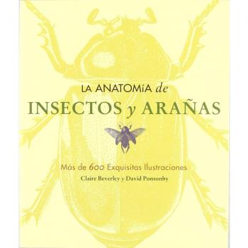 La anatom¡a de insectos y arañas