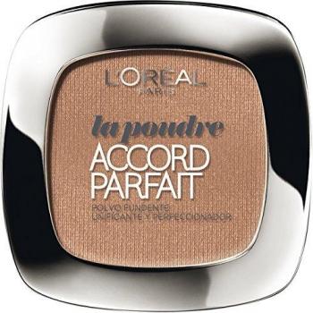 L'Oréal Perfect Match Compact Matte Powder 9g 5D