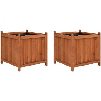 vidaXL 2-Pack Raised Garden Beds 50x50x50 cm Firwood