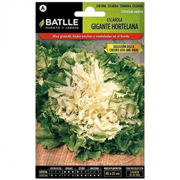 Semillas Hortícolas - Escarola Gigante Hortelana sel. Delta - Batlle