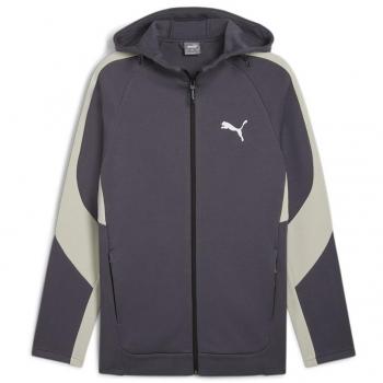 Chaqueta de hombre Puma Evostripe Full-Zip Hoodie gris/beige