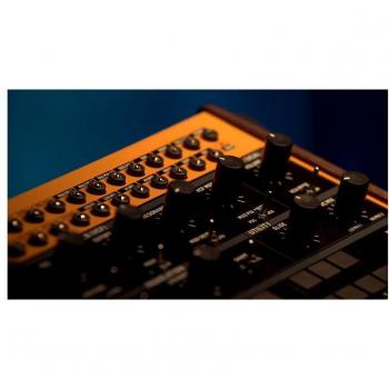 Behringer Crave Semi-Modular Analog Synthesizer