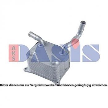 AKS Dasis 046037 N Motor bloques