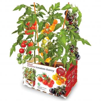 Kit de Cultivo Tomates Naturales Batlle con Maceta y Semillas