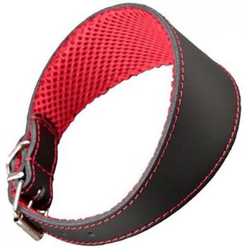 Arppe 195376050100 Collar Galgo Cuero Forro 3D Amazone, Negro y Rojo