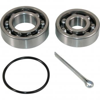 Juego de cojinete de rueda ABS 200232