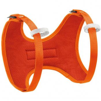 Petzl Klettergurte Body - Arnés de escalada, color naranja, talla one size