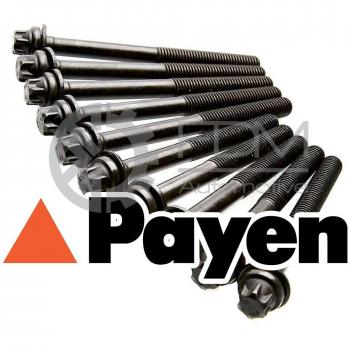 Payen HBS246 juego de pernos de culata